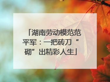 湖南劳动模范范平军：一把砖刀“砌”出精彩人生