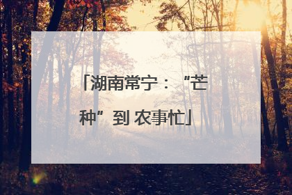 湖南常宁：“芒种”到 农事忙
