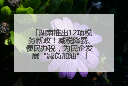湖南推出12项税务新政！减税降费、便民办税，为民企发展“减负加油”