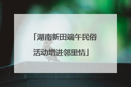 湖南新田端午民俗活动增进邻里情