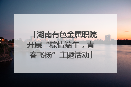 湖南有色金属职院开展“粽情端午，青春飞扬”主题活动