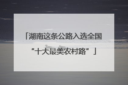 湖南这条公路入选全国“十大最美农村路”