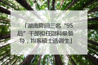 湖南隆回三名“95后”干部拟任副科级领导，均系硕士选调生
