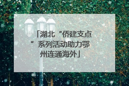 湖北“侨建支点”系列活动助力鄂州连通海外