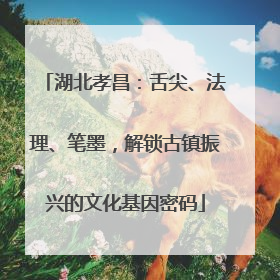 湖北孝昌：舌尖、法理、笔墨，解锁古镇振兴的文化基因密码