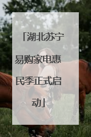 湖北苏宁易购家电惠民季正式启动