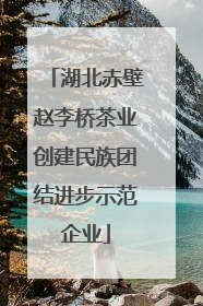 湖北赤壁赵李桥茶业创建民族团结进步示范企业