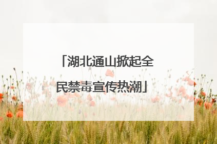 湖北通山掀起全民禁毒宣传热潮
