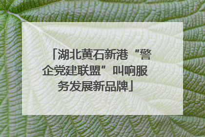 湖北黄石新港“警企党建联盟”叫响服务发展新品牌