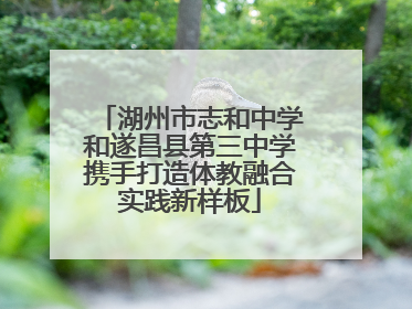 湖州市志和中学和遂昌县第三中学携手打造体教融合实践新样板