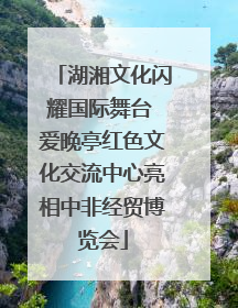 湖湘文化闪耀国际舞台 爱晚亭红色文化交流中心亮相中非经贸博览会