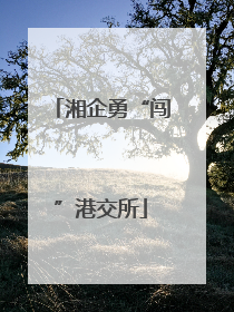 湘企勇“闯”港交所