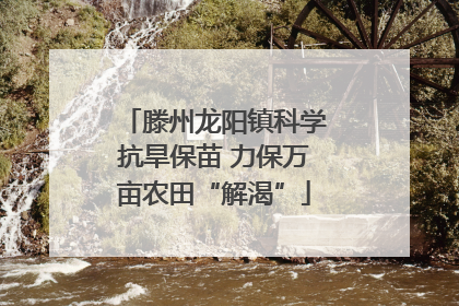 滕州龙阳镇科学抗旱保苗 力保万亩农田“解渴”