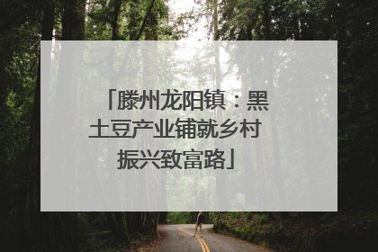 滕州龙阳镇：黑土豆产业铺就乡村振兴致富路