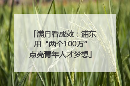 满月看成效：浦东用“两个100万”点亮青年人才梦想