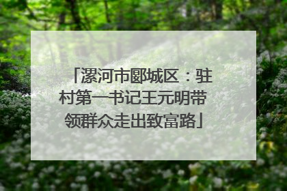 漯河市郾城区：驻村第一书记王元明带领群众走出致富路