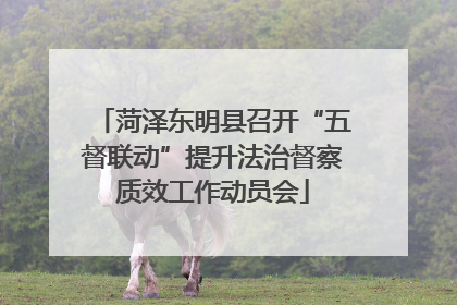 菏泽东明县召开“五督联动”提升法治督察质效工作动员会