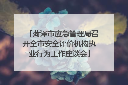 菏泽市应急管理局召开全市安全评价机构执业行为工作座谈会