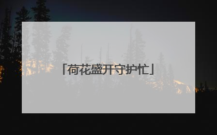 荷花盛开守护忙