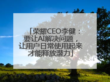 荣耀CEO李健：要让AI解决问题，让用户日常使用起来才能释放潜力