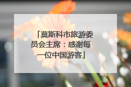 莫斯科市旅游委员会主席：感谢每一位中国游客