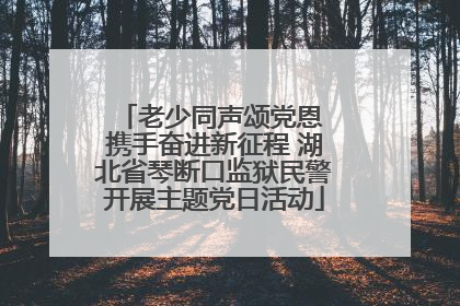 老少同声颂党恩 携手奋进新征程 湖北省琴断口监狱民警开展主题党日活动