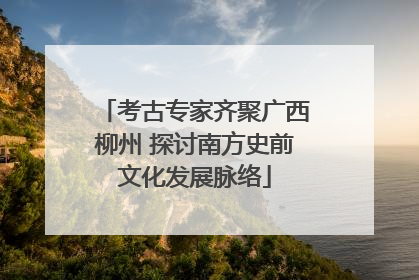 考古专家齐聚广西柳州 探讨南方史前文化发展脉络
