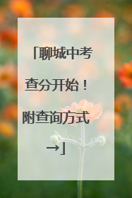 聊城中考查分开始！附查询方式→