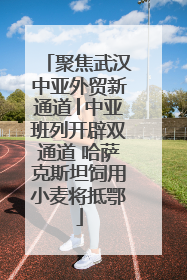 聚焦武汉中亚外贸新通道│中亚班列开辟双通道 哈萨克斯坦饲用小麦将抵鄂