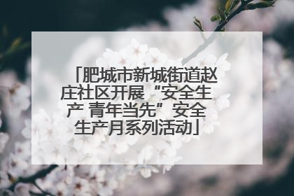 肥城市新城街道赵庄社区开展“安全生产 青年当先”安全生产月系列活动