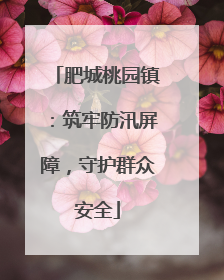肥城桃园镇：筑牢防汛屏障，守护群众安全