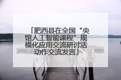 肥西县在全国“央馆人工智能课程”规模化应用交流研讨活动作交流发言
