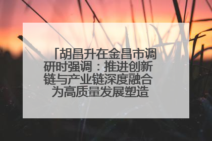 胡昌升在金昌市调研时强调：推进创新链与产业链深度融合 为高质量发展塑造新动能新优势