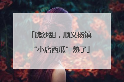 脆沙甜，顺义杨镇“小店西瓜”熟了