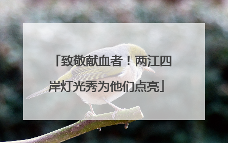 致敬献血者！两江四岸灯光秀为他们点亮