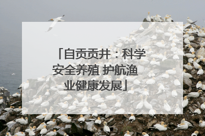 自贡贡井：科学安全养殖 护航渔业健康发展