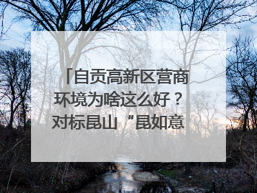 自贡高新区营商环境为啥这么好？对标昆山“昆如意”打造自贡“高兴办”｜美好生活有“盐”味