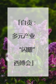 自贡：多元产业“闪耀”西博会