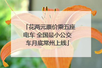 花两元票价乘五座电车 全国最小公交车月底常州上线