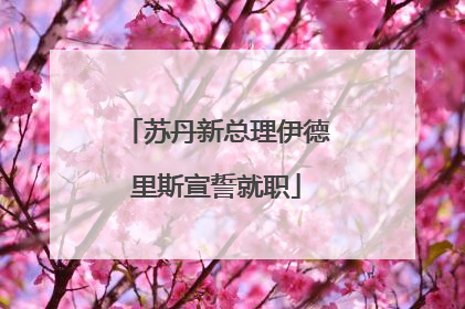 苏丹新总理伊德里斯宣誓就职