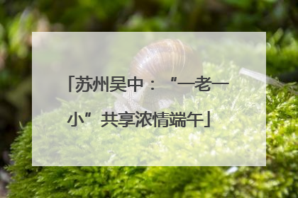 苏州吴中：“一老一小”共享浓情端午