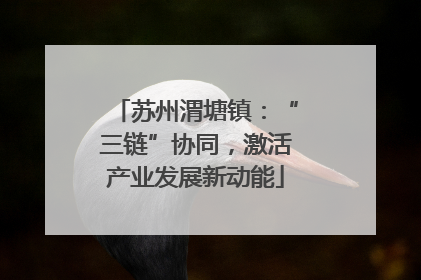 苏州渭塘镇：“三链”协同，激活产业发展新动能