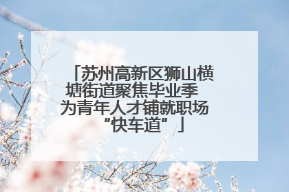 苏州高新区狮山横塘街道聚焦毕业季 为青年人才铺就职场“快车道”