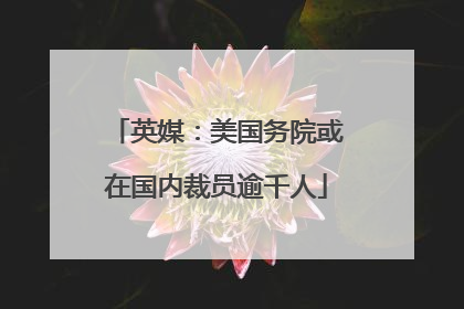英媒：美国务院或在国内裁员逾千人