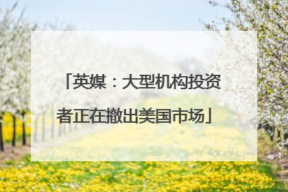 英媒：大型机构投资者正在撤出美国市场