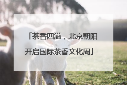 茶香四溢，北京朝阳开启国际茶香文化周