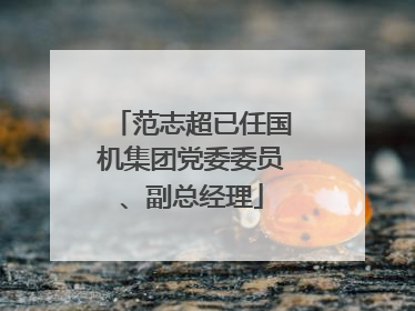 范志超已任国机集团党委委员、副总经理