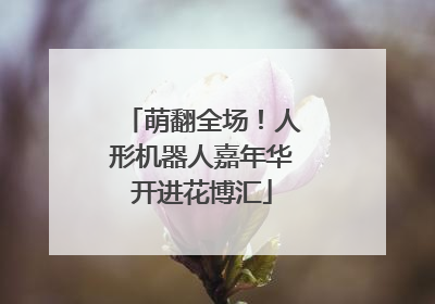 萌翻全场！人形机器人嘉年华开进花博汇