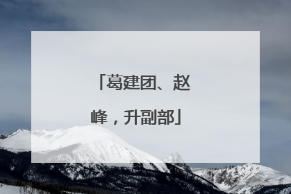 葛建团、赵峰，升副部