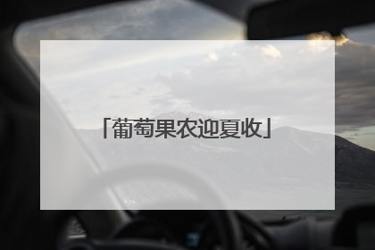葡萄果农迎夏收